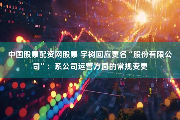 中国股票配资网股票 宇树回应更名“股份有限公司”：系公司运营方面的常规变更
